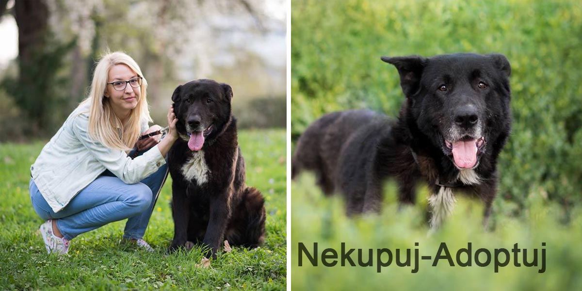 V romské osadě přišel o konečky prstů, ale je z něj 50 kilo živého štěstí a trpělivosti!