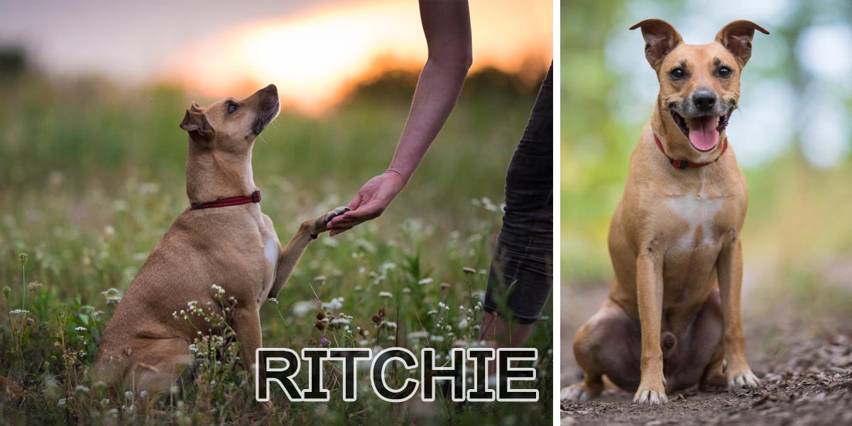 Ritchie už 2 roky hledá svou rodinu