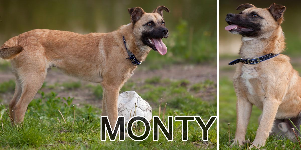 Monťák pije Red Bull a hledá majitele, který mu porozumí