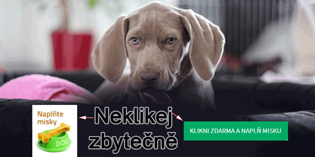 Klikání na tlačítko „naplnit misku“ nemá žádný smysl?