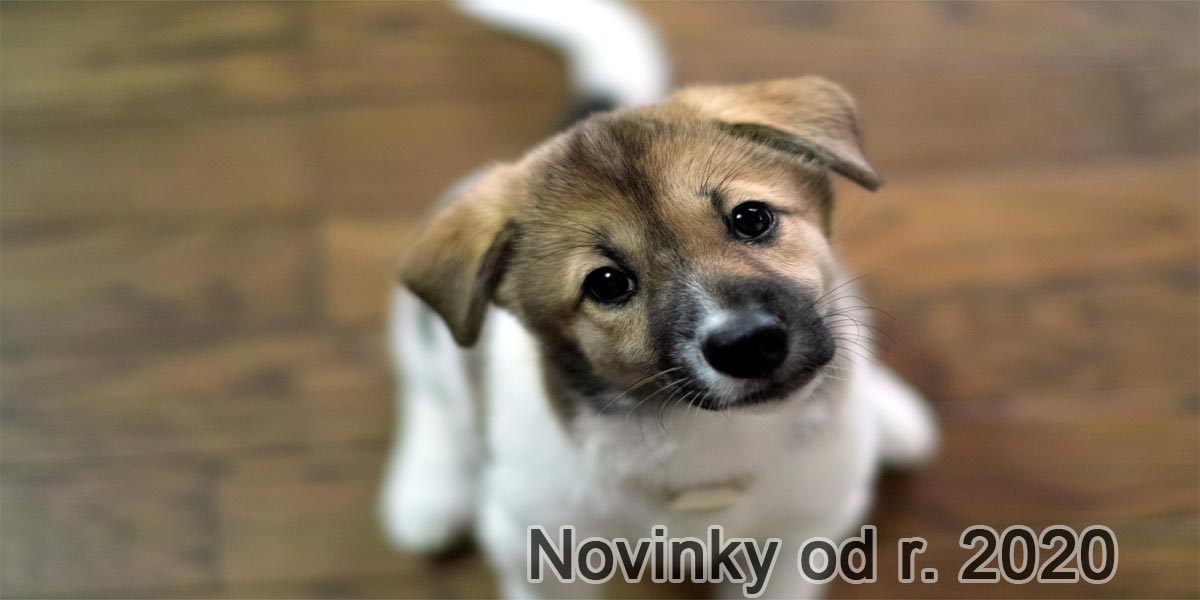 Podstatné změny pro všechny pejskaře od 1.1.2020