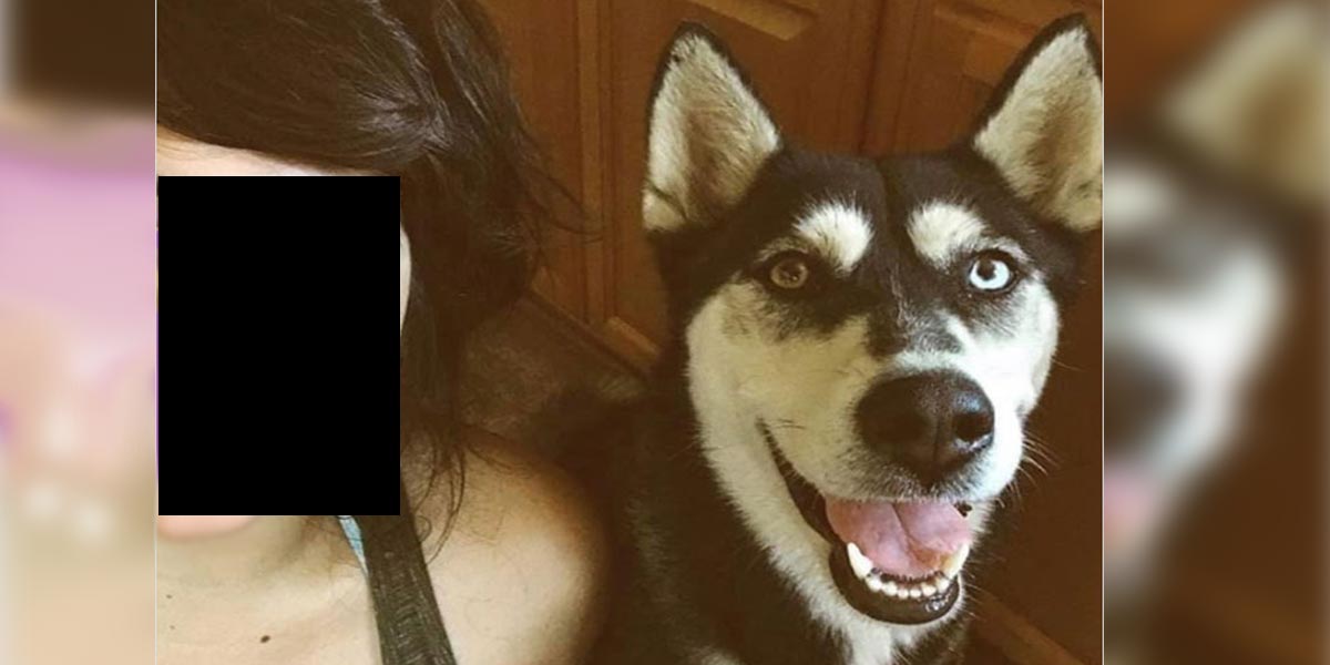 Žena na Facebooku prosila o pomoc s nalezením ztraceného psa, za chvíli ho našla k prodeji…