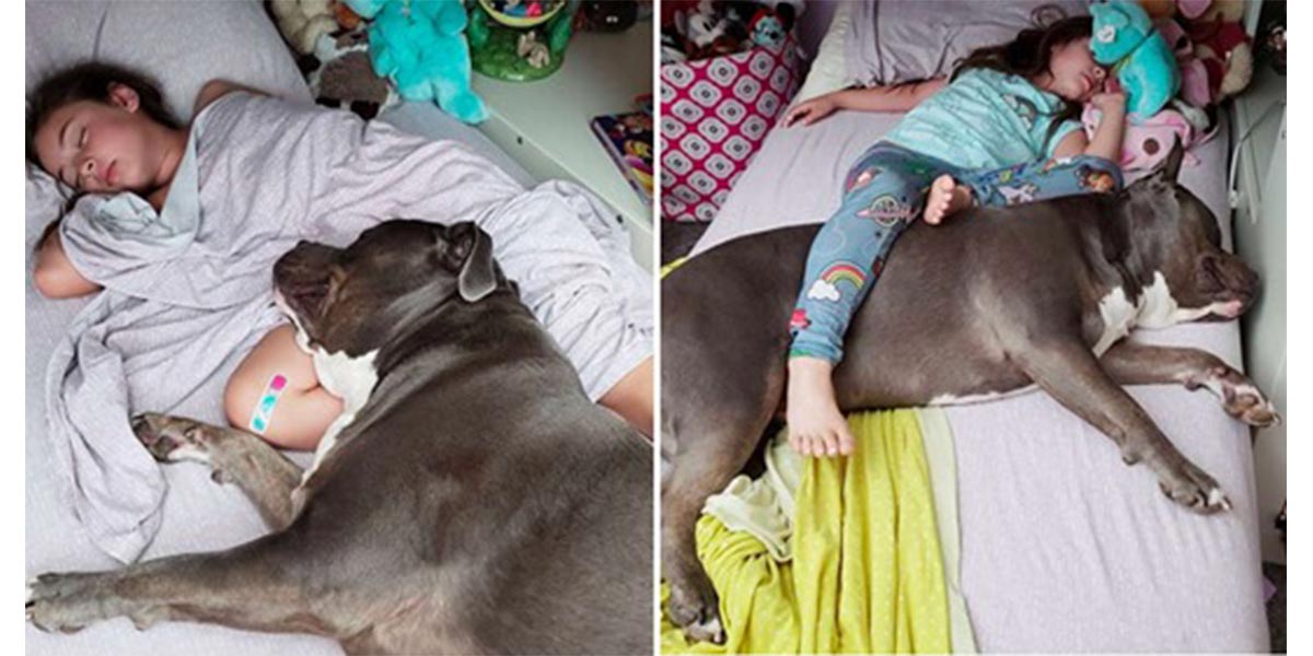 Tahle pitbulka neusne, když nemá po boku svého nejlepšího přítele…