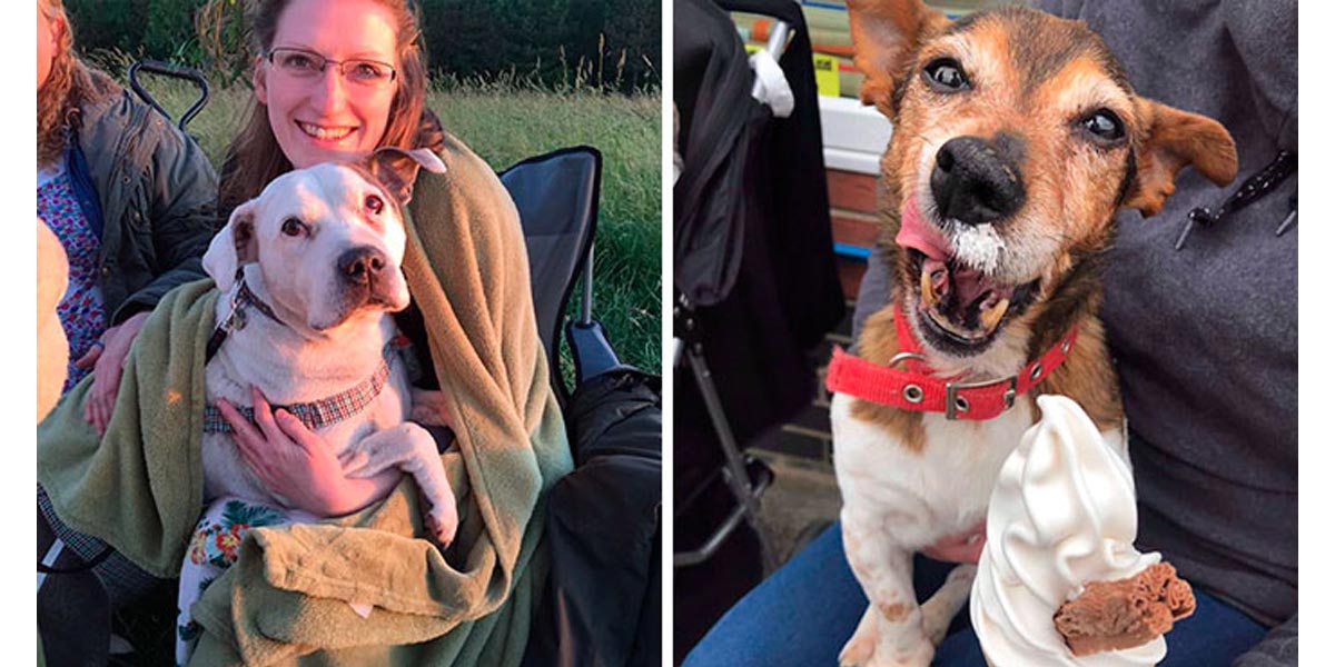 Otevřela hospic pro psy, kde s nimi může trávit poslední dny svého života