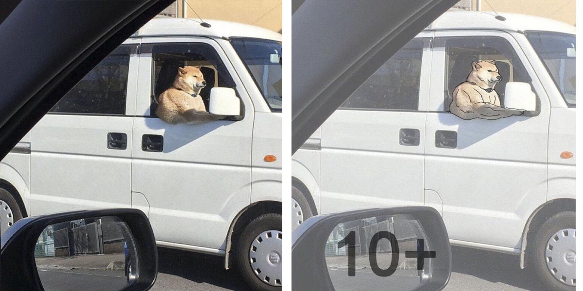 10+ nejlepších optických iluzí nejen se psy