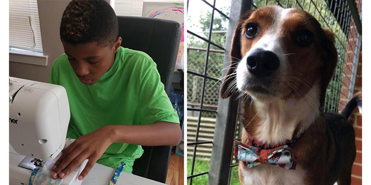 Chlapec (12) vyrábí stylové motýlky pro psy, aby mohli najít nový domov