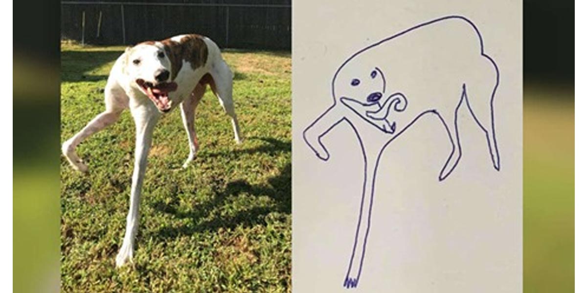 Chtěl si na památku nakreslit svého psa, takhle to dopadlo