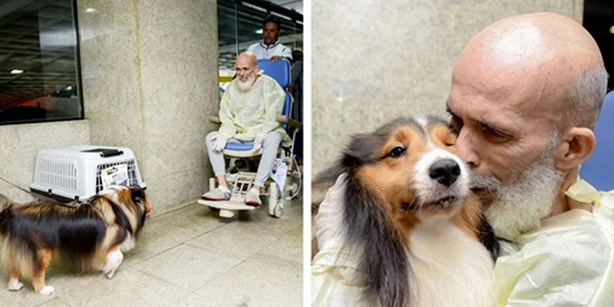Doktor byl překvapený, jak se zlepšil stav pacienta po návštěvě psa