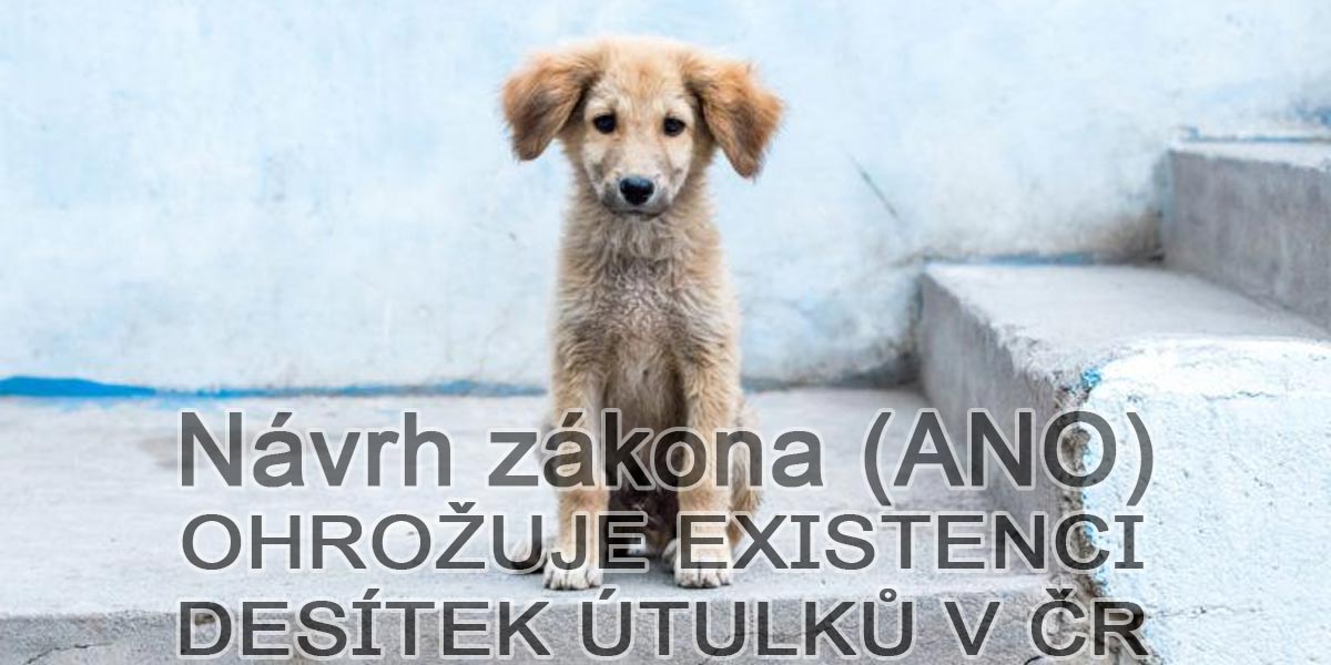 Desítky útulků v ČR možná zaniknou, může za to připravovaná novela zákona