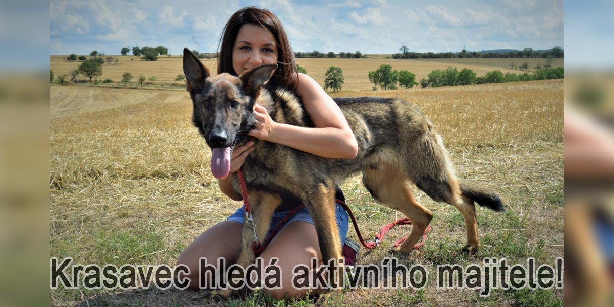 Urozený kříženec Ulrich-Fritz hledá nového páníčka!