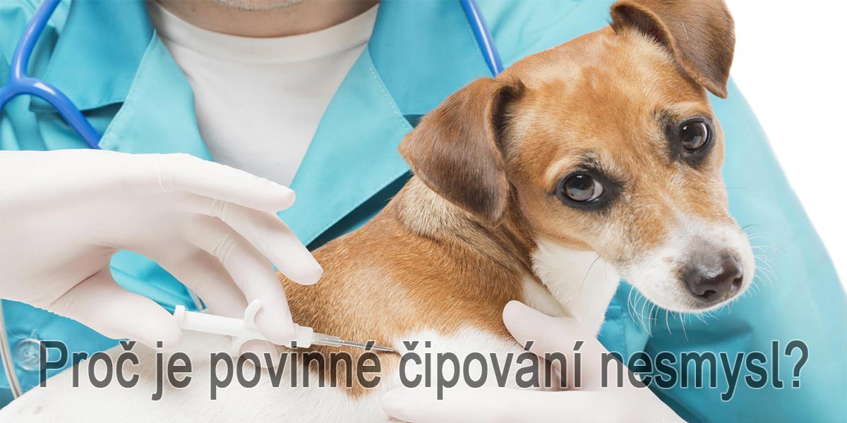 5 důvodů, proč je povinné čipování nesmyslný paskvil