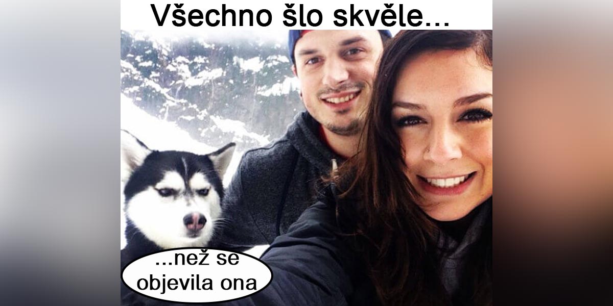 Psi dokáží žárlit, vyvrátil se tak údajný mýtus o psích emocích