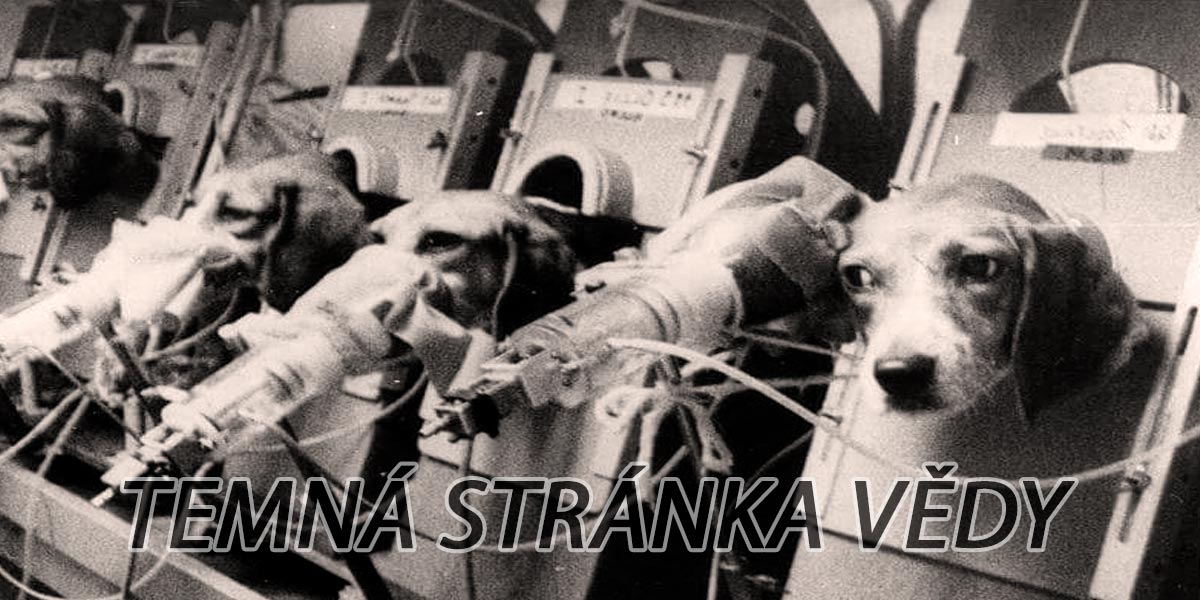 Pokusy na psech v ČR a ve světě - statistika, grafy a fakta