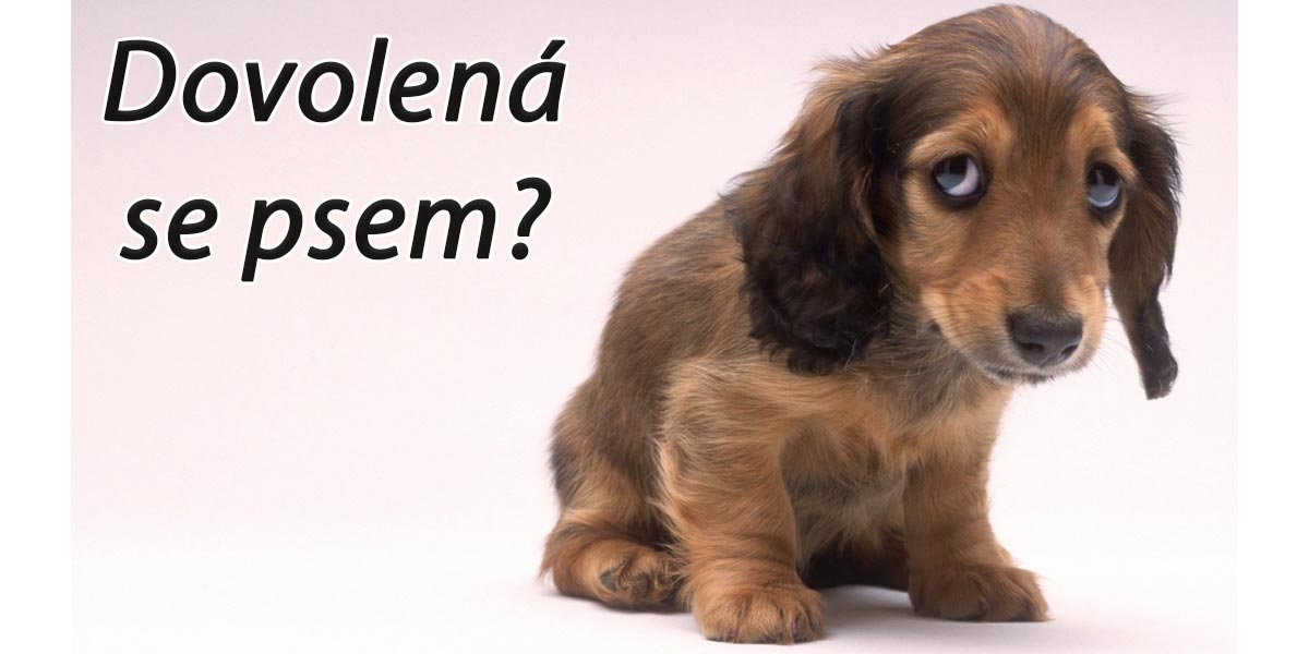 Od 1.1.2020 je na Slovensku plošný zákaz vstupu psů do gastronomických zařízení, novela neprošla