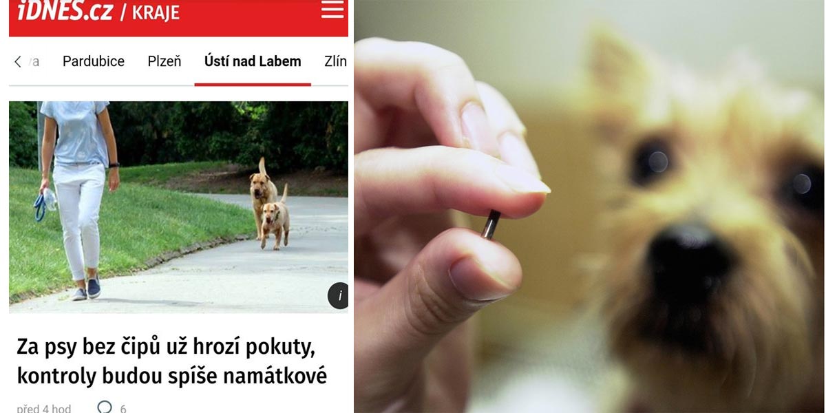 Česká média zbytečně straší, pokutu za neočipovaného psa nedostanete od městské ani státní policie