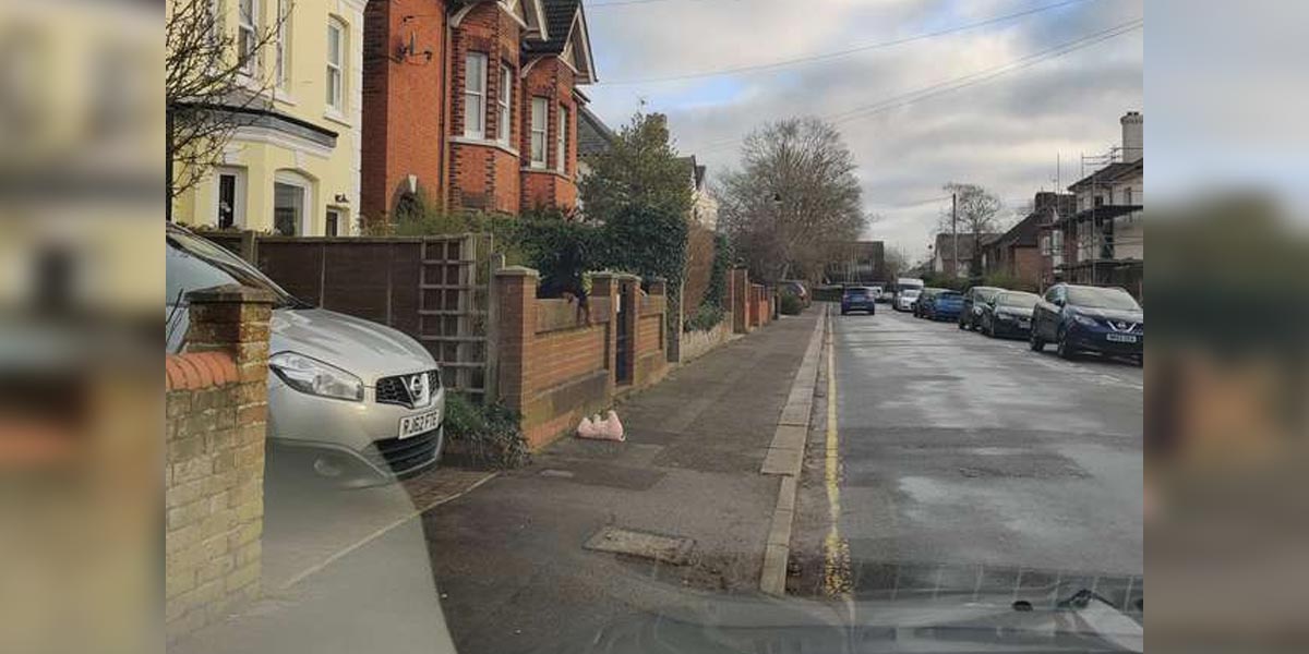 Žena zastavila, aby pomohla psovi, kterému přes plot přepadlo prase