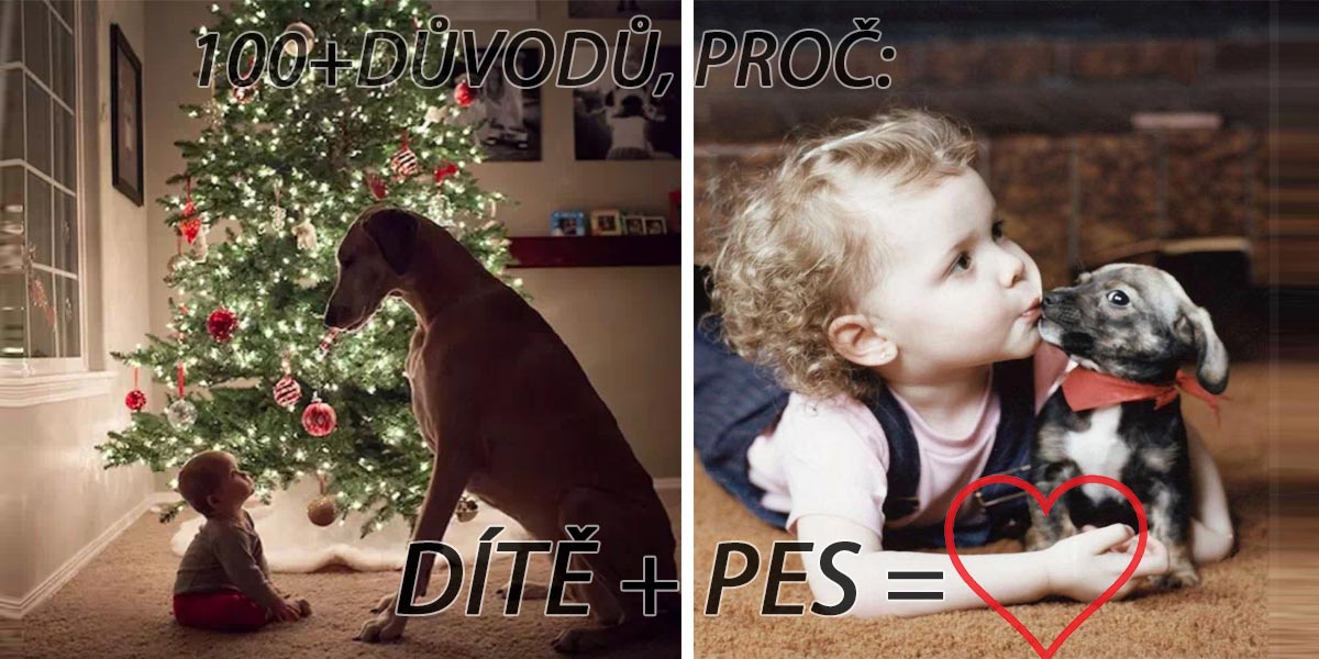 100+1 důvodů, proč dítě potřebuje psa
