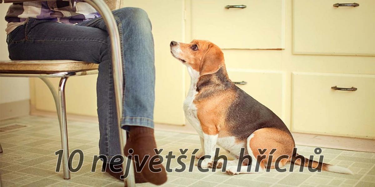 10 nejčastějších chyb při pamlskování psů