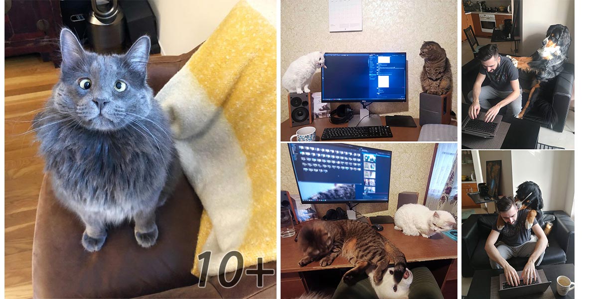 Lidé sdílí své zážitky, co to znamená povinná práce z domu