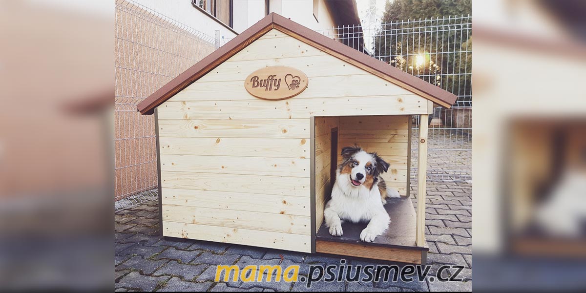 Co dělat, když se pes nudí? #NervyStranou