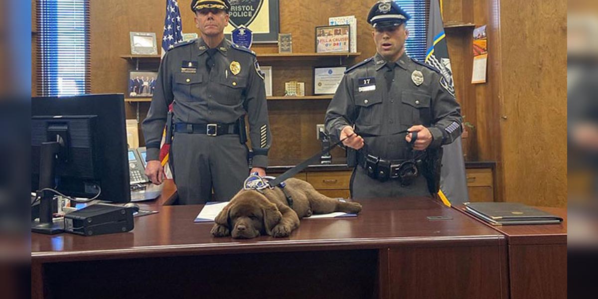 Tohle je Brody, nový terapeutický policejní pes, který právě složil vlastní ceremoniální přísahu