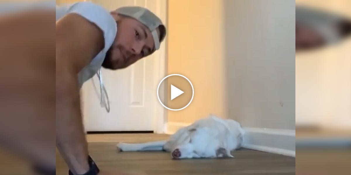 Tenhle muž prozradil, jak lze ohleduplně budit slepého a hluchého psa