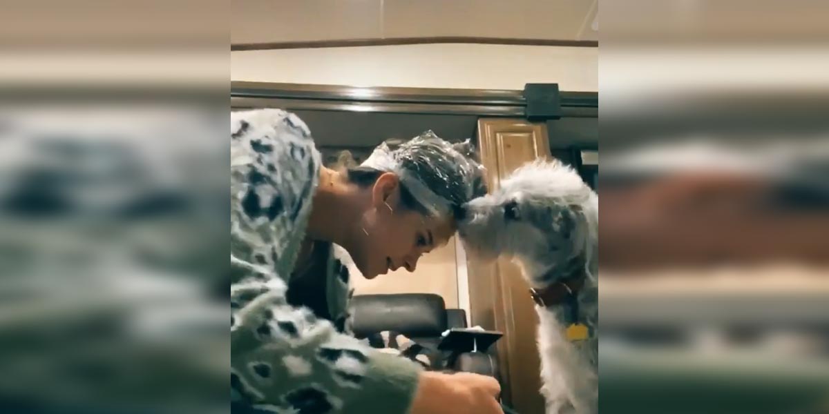 Tahle žena přišla na to, jak snadno a bez starostí ostříhat psům drápky