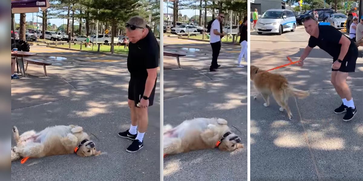 Chytrák hraje mrtvého, aby si v parku mohl hrát déle...