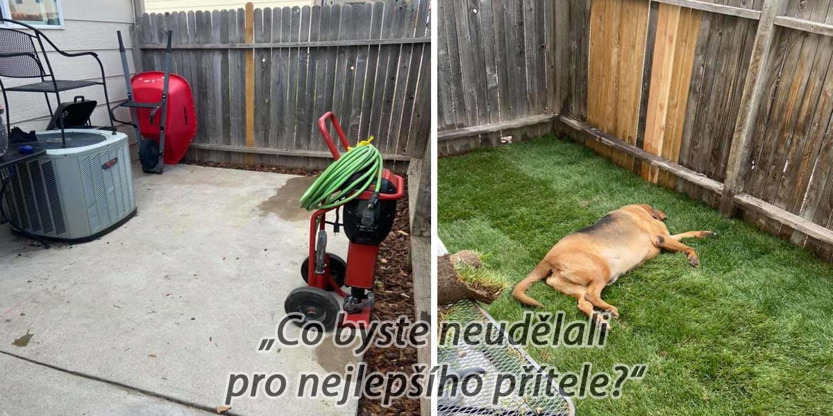 Adoptovaný pes žil celý život uvnitř bytu. Tak jsme mu postavili vlastní zahradu.