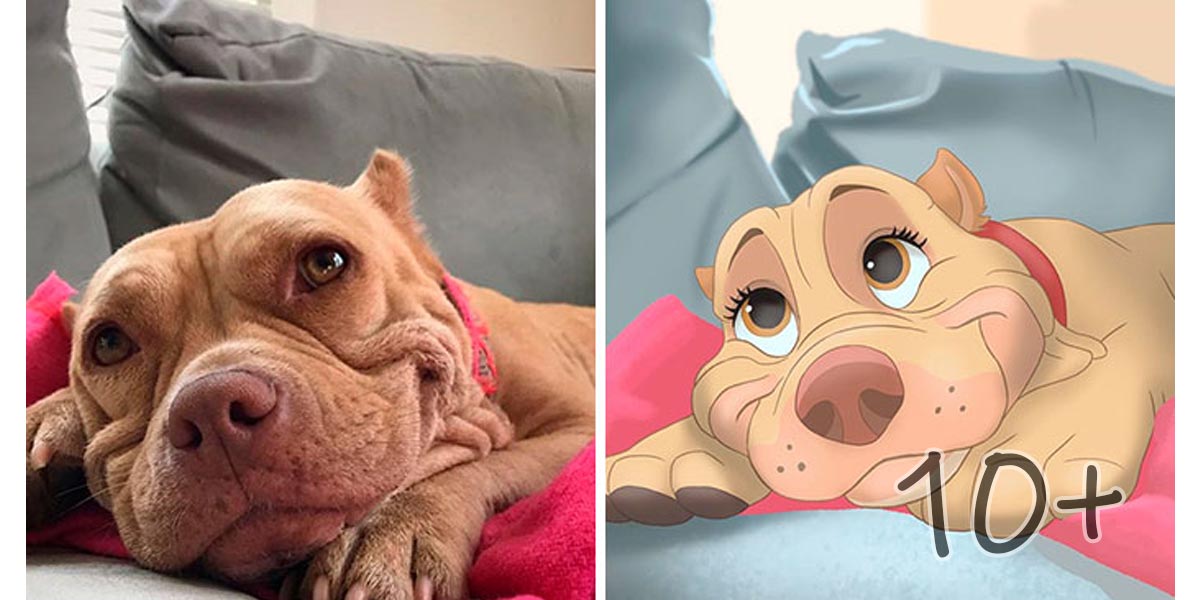 Lidé posílají fotky svých mazlíčku umělci, který z nich vytvoří dokonalé Disney postavičky