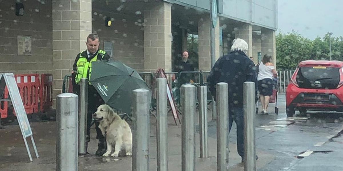 Zaměstnanec bezpečnostní agentury, který chce opravdu pomáhat, se stal hitem internetu.