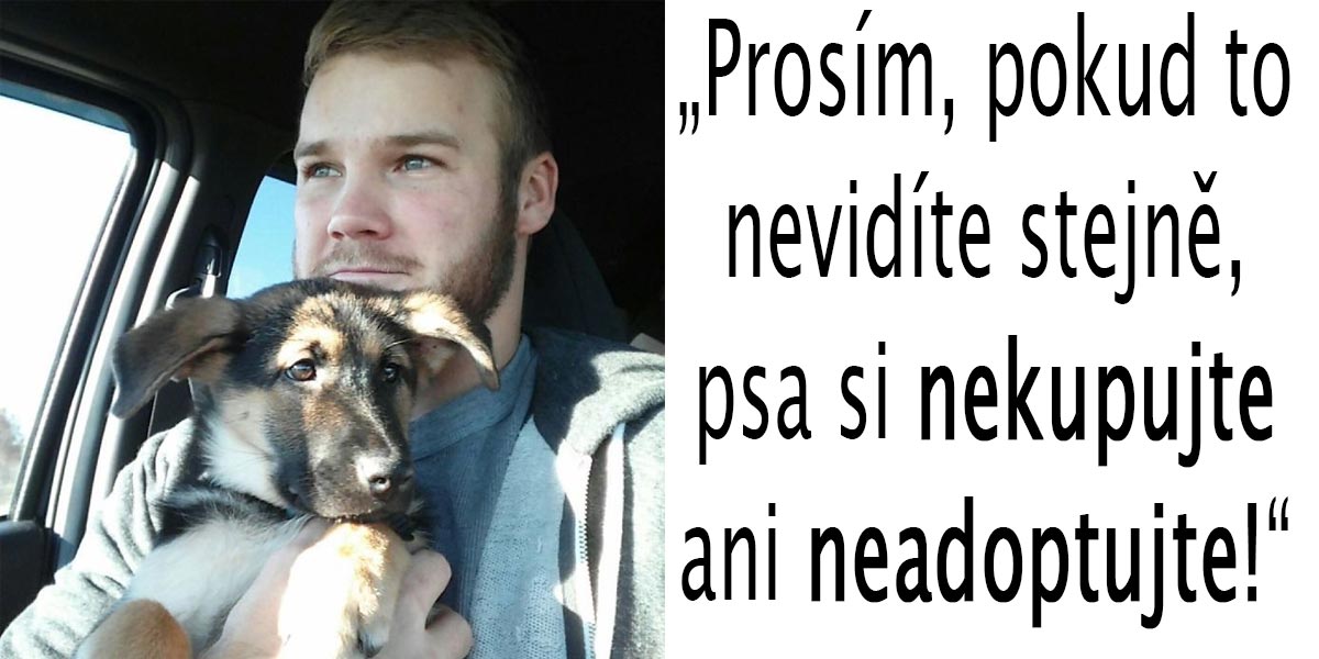 Než si pořídíte psa, přečtěte si upřímného průvodce o útrapách se psem