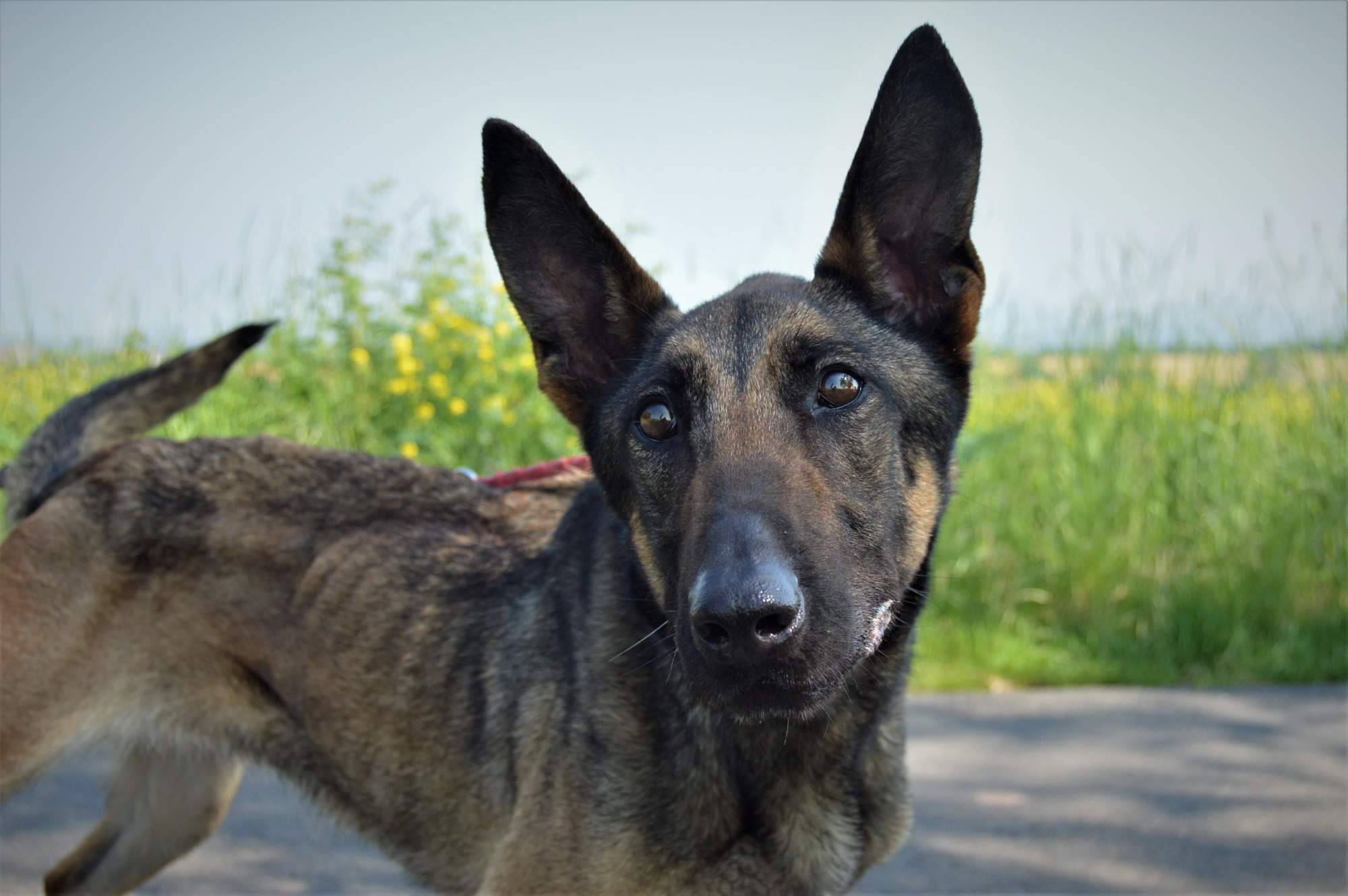 ANIČKA HLEDÁ NOVOU RODINU