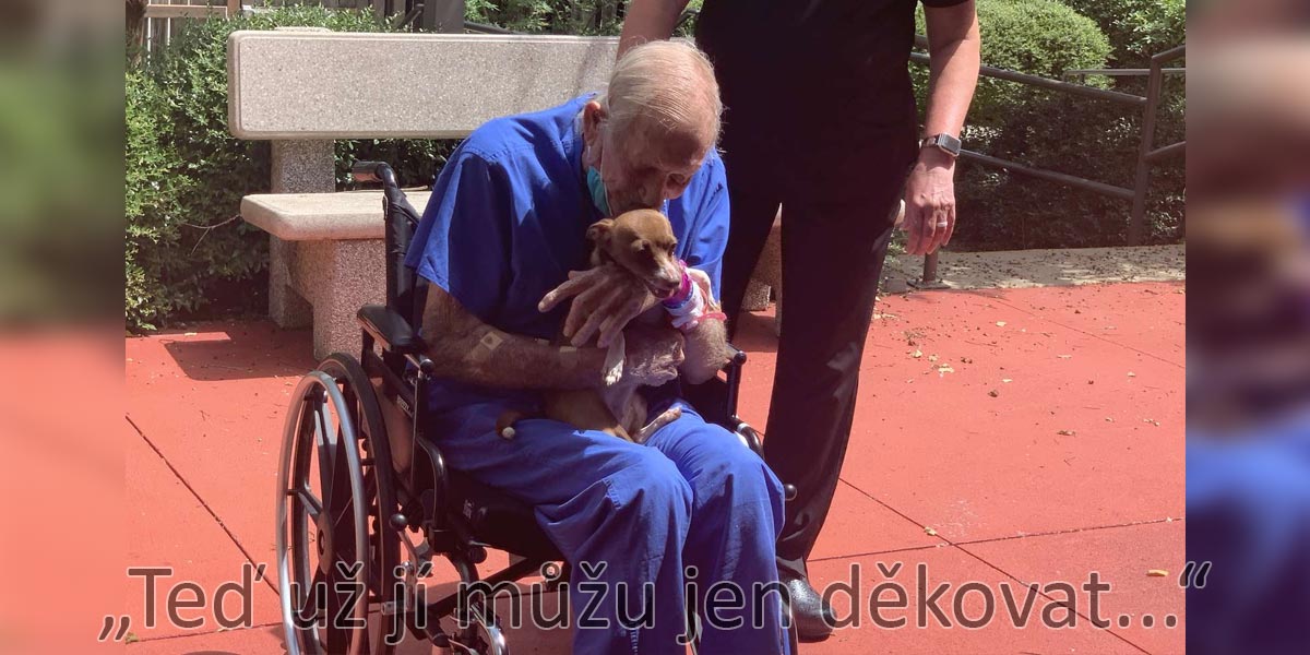 Znovu zase spolu. Čivava, která našla pomoc pro svého majitele, když to bylo nejvíce potřeba.