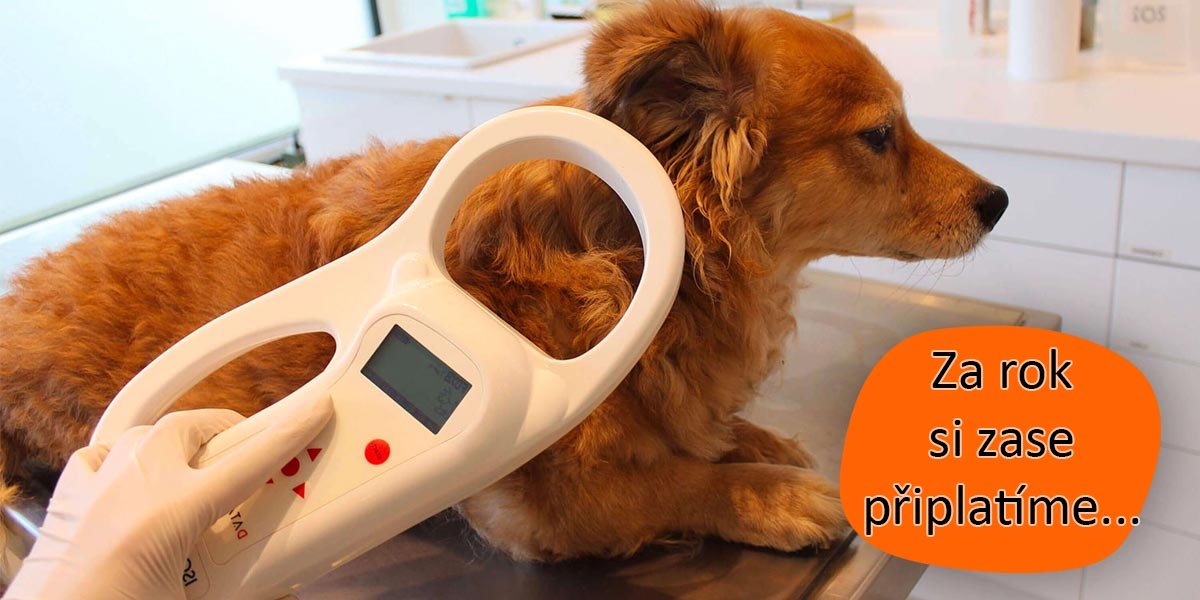 Povinné čipování začne dávat smysl, pejskaři si ale připlatí