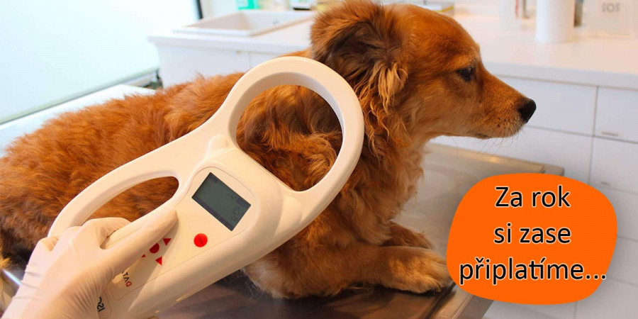 Povinné čipování začne dávat smysl, pejskaři si ale připlatí