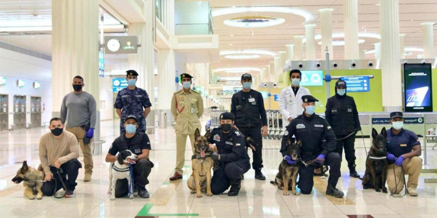 Dnes začali psi na finském letišti vyhledávat lidi pozitivní na COVID-19