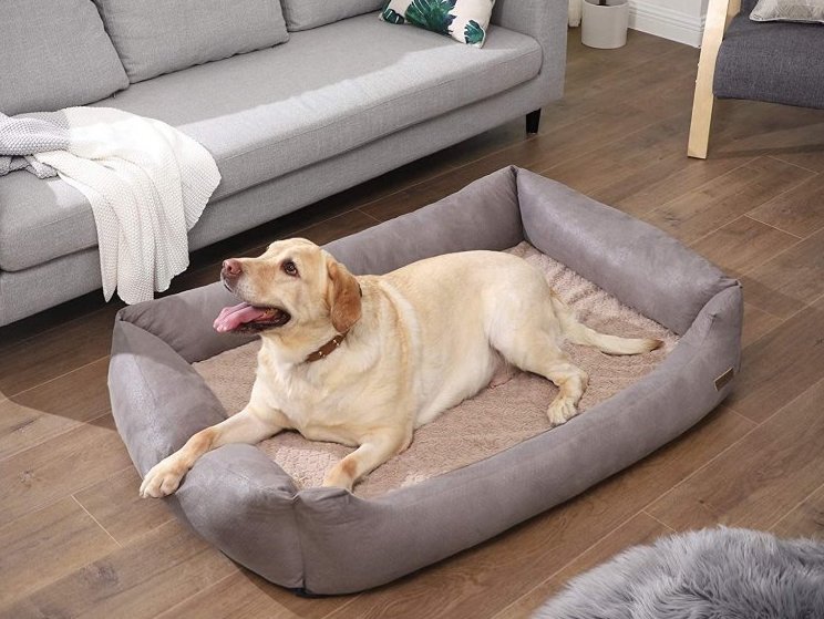 Výroba psího pelíšku pro našeho labradora Endyho
