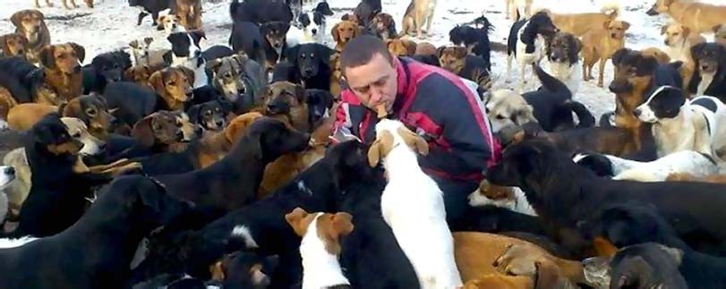 Bral psy od každého, kdo je už nechtěl, nyní má 750 psů
