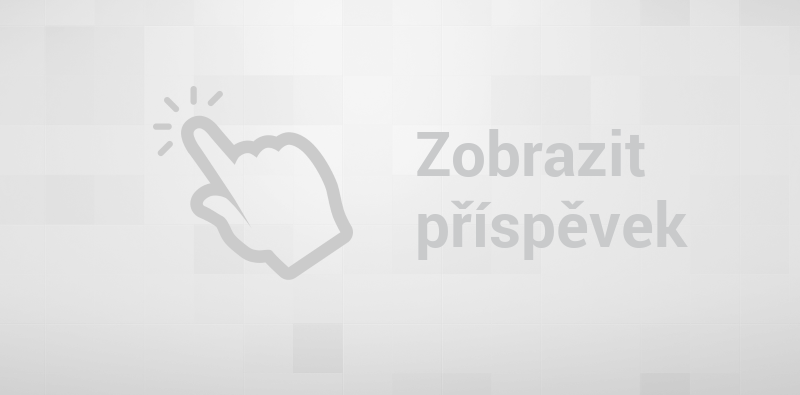 Bee Jay - Zviera nie je vec