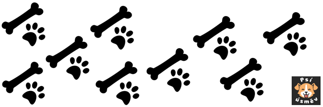 Čipování a registrace psů