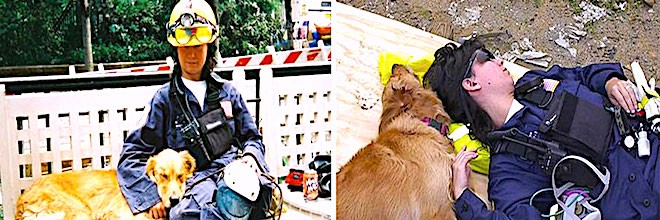 Poslední přeživší (z 11. 9. 2001) psí záchranář oslavil své 16. narozeniny, vítala ho stovka lidí