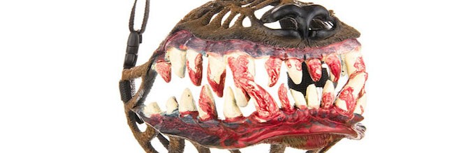 Bojíte se sami chodit se psem do lesa? Existuje řešení.