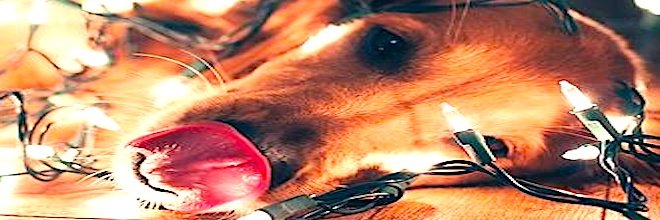 Štastné a veselé Vánoce! Děkujeme Vám za rok 2017